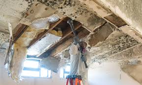 Mold Removal for HVAC Installations in Selma, AL